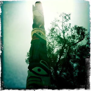 Hip 335475996.622493