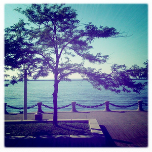 Hip 331596980.465649