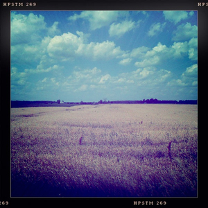 Hip 331673378.095305