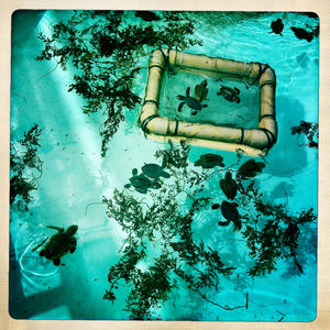 Hip 335477076.759173