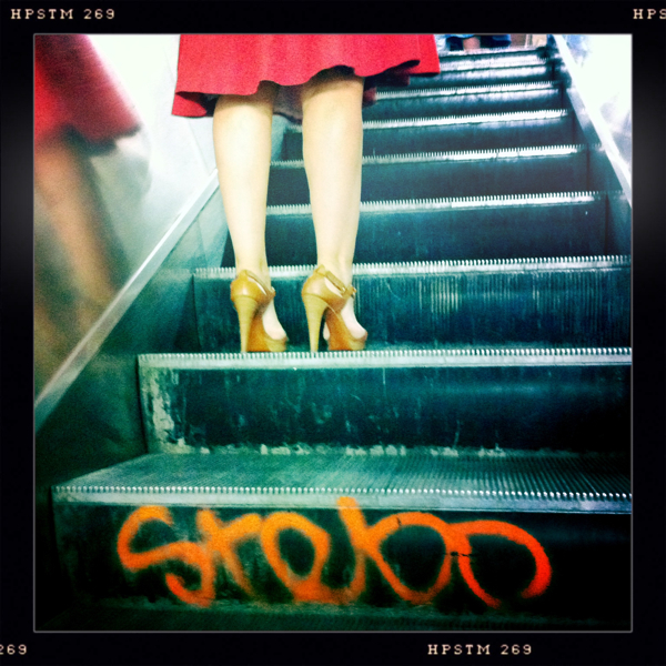 Hip 330251714.031409