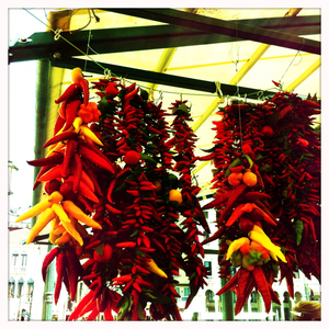 Hip 335267261.995771