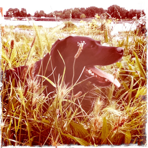 Hip 335102306.936576