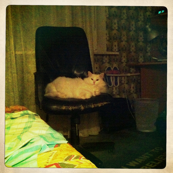 Hip 335478672.167072