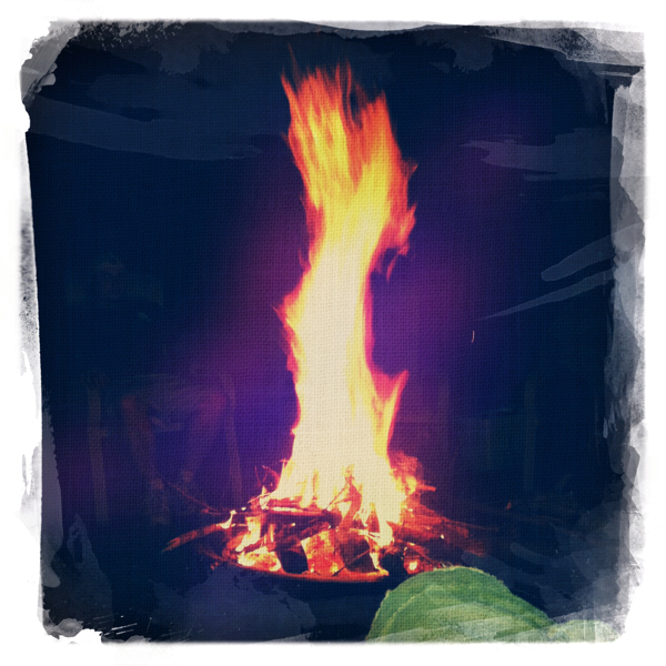 Hip 334293278.022883