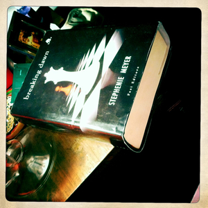 Hip 335480476.541061