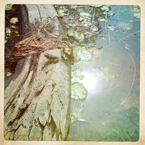 Hip 335473428.372319