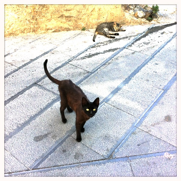 Hip 334076522.427181