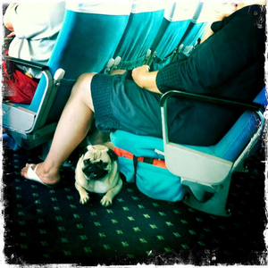 Hip 334074634.040270