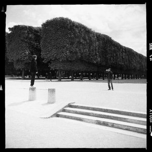 Hip 333289131.080814