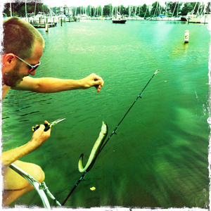 Hip 334960976.928534