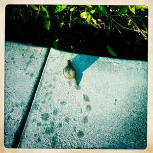 Hip 324954675.157209