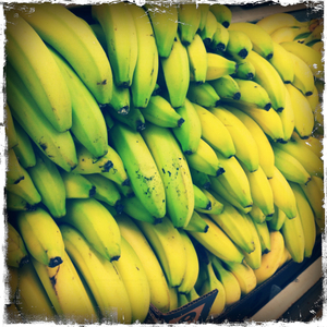 Hip 331915087.980550