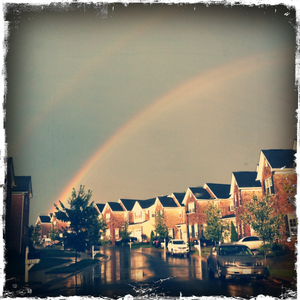 Hip 335486357.338842