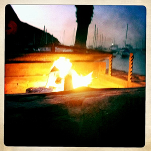 Hip 333343246.721065