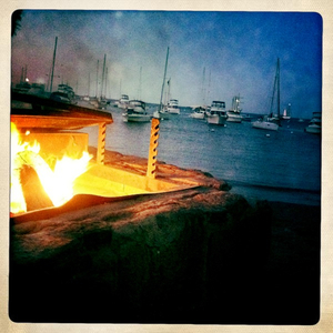 Hip 333343275.196135