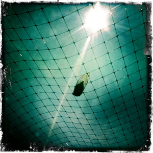 Hip 335472470.289091