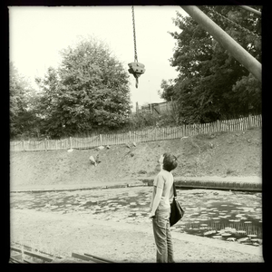 Hip 335457168.036140