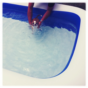 Hip 332876028.717655