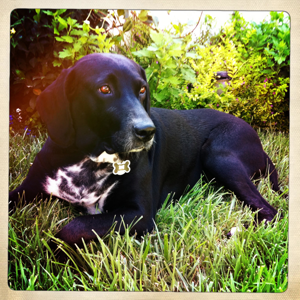 Hip 335143207.884735