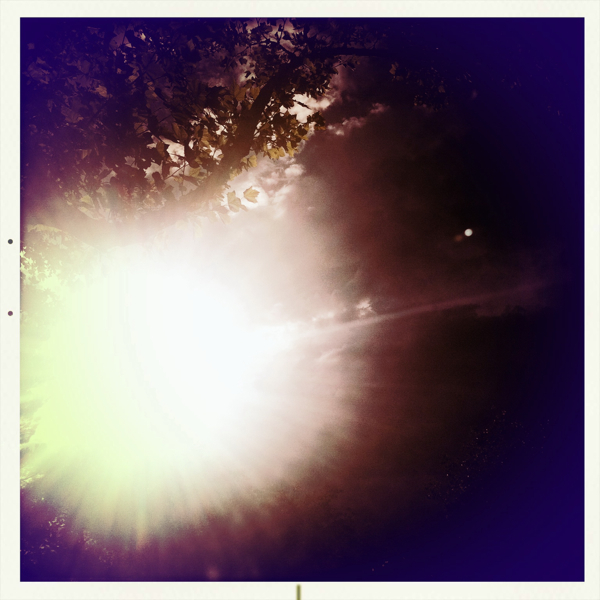 Hip 335491730.985190