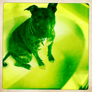 Hip 335418093.818723