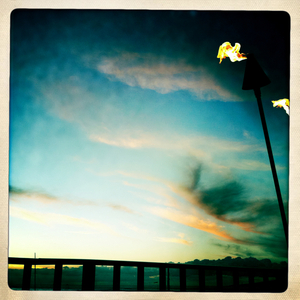 Hip 310276929.774842