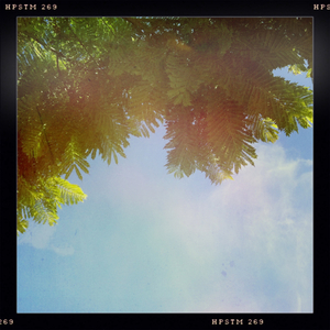 Hip 334541800.873394