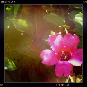 Hip 334541505.677025