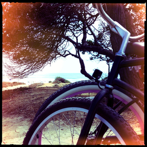 Hip 334448466.055319