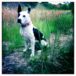 Hip 311872522.314771