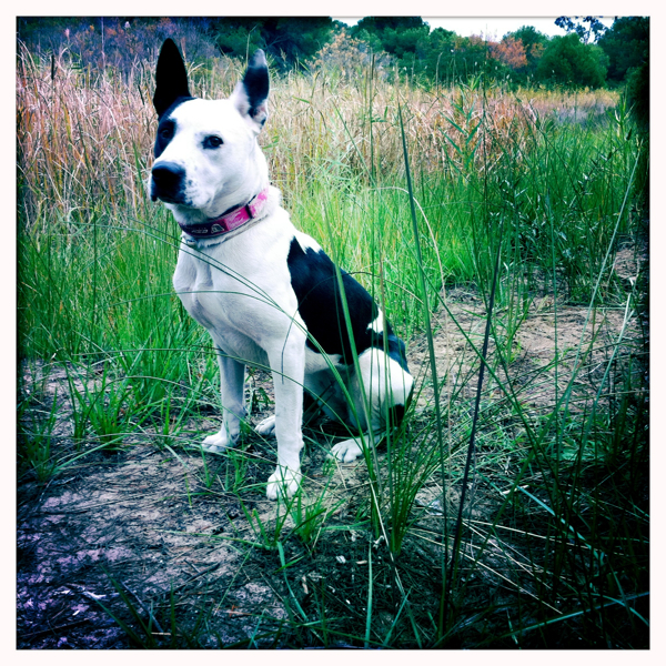 Hip 311872522.314771