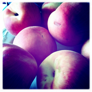 Hip 334254827.494701