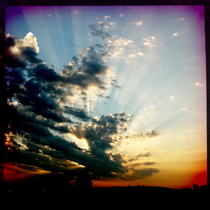 Hip 335492216.962242