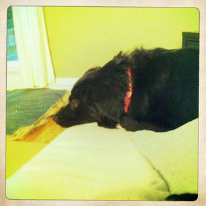 Hip 335494636.284702