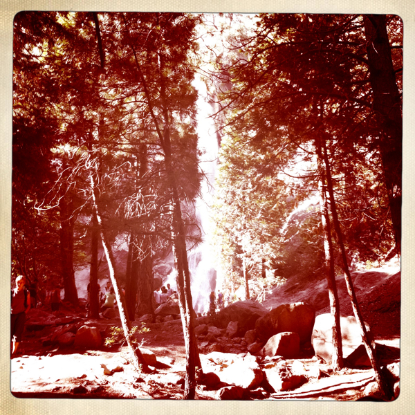 Hip 334972087.545600