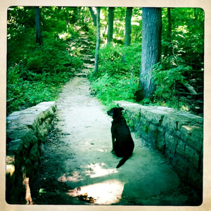 Hip 335287530.519474