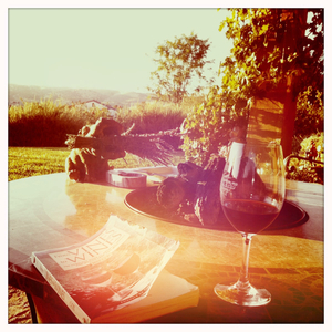 Hip 335499687.483881