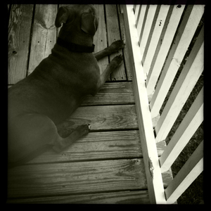 Hip 334888190.379891