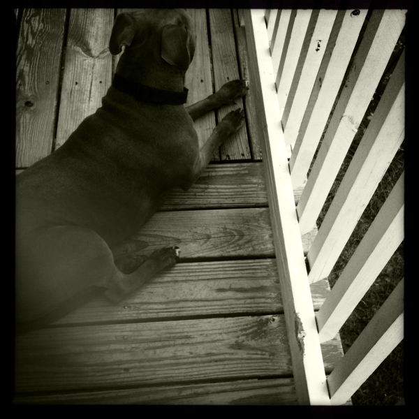 Hip 334888190.379891