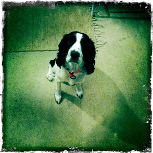 Hip 335499440.065148