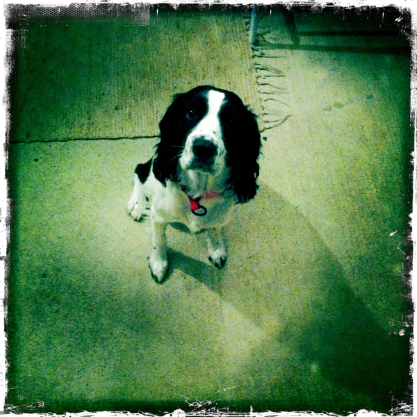 Hip 335499440.065148