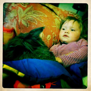 Hip 335500972.400210