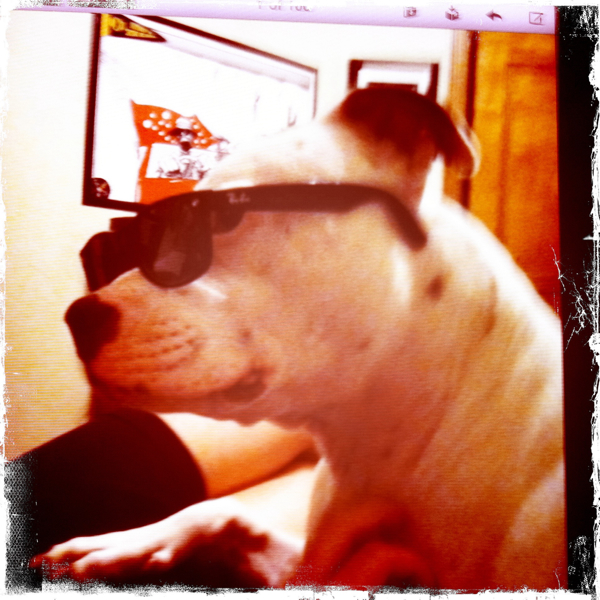 Hip 335501157.382449