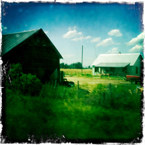 Hip 333842812.976636