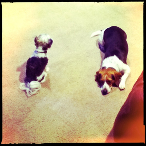 Hip 332819821.959771