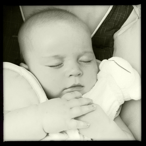 Hip 335398464.393063