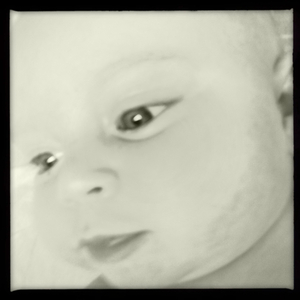 Hip 333304656.438511