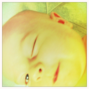 Hip 333304525.218307