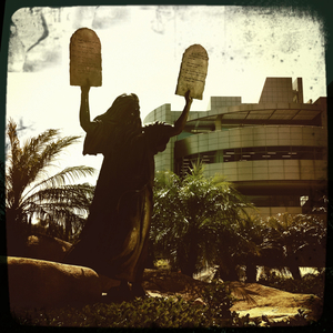 Hip 328226594.660313